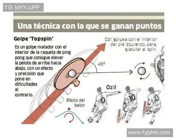 揭秘真人乒乓球破解技术的奥秘与应用前景分析