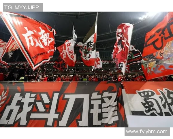 新赛季中超前景广阔成都蓉城引入法甲后防核心值得期待